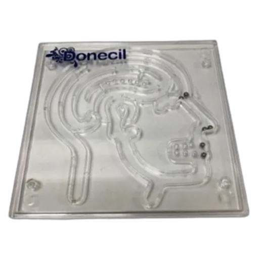 Laberinto Cerebro — laboratorio plástico personalizable | Plasmare