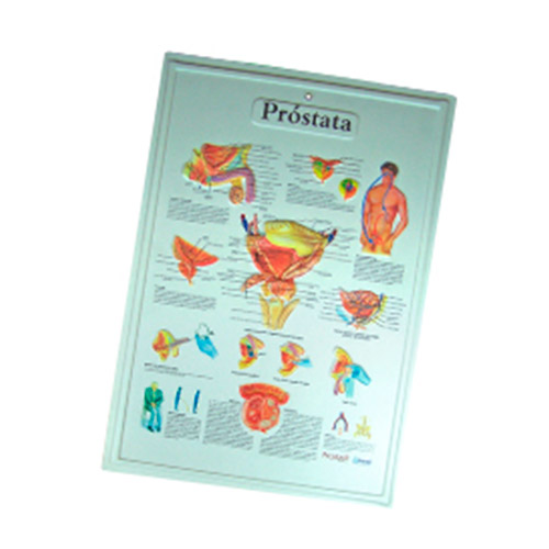 TERMOFORMADA PR STATA - Artículos de Laboratorio Plasmare