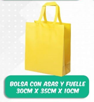 Bolsa Con Asas Y Fuelle 30 X 35 - Bolsos Ecológicos Plasmare